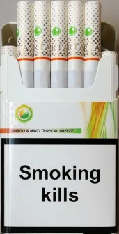 URTA capsule (Юрта капсула манго з м'ятою) (duty free) 0