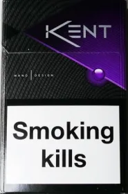 KENT nano capsule (Кент слім зі смаком чорниці) (duty free)