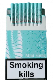 URTA mint slims wide (Юрта ментолові широкі слімові) 0